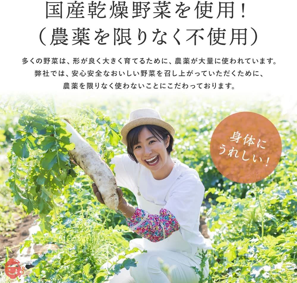 菜やさい菜 乾燥野菜 ミックス 国産 京都府産 ブドウ糖不使用 無添加 減農薬野菜 1袋 40gの画像