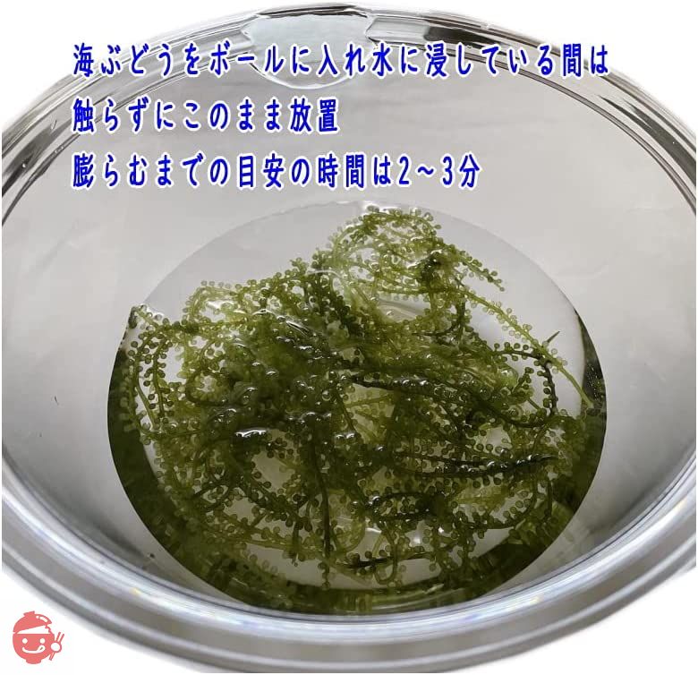 沖縄県産 海ぶどう 50g【たれ付】×5袋の画像