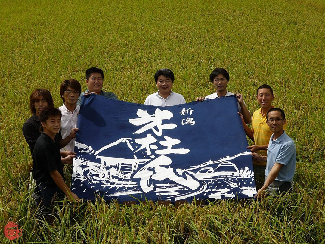 越後雪室屋 氷温熟成新潟こしひかりパックごはん 180g×12Pの画像