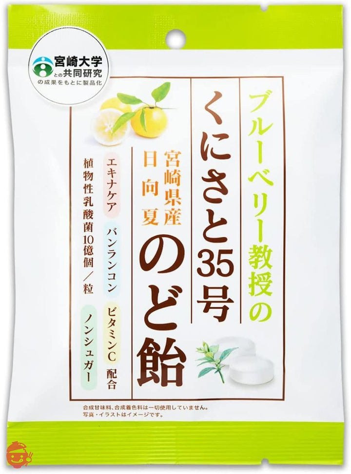 くにさと35号のど飴 ノンシュガー のど飴 [ 甘味料 不使用 ] 独自成分配合 糖類0 個包装 エキナケア のどあめ 12袋の画像