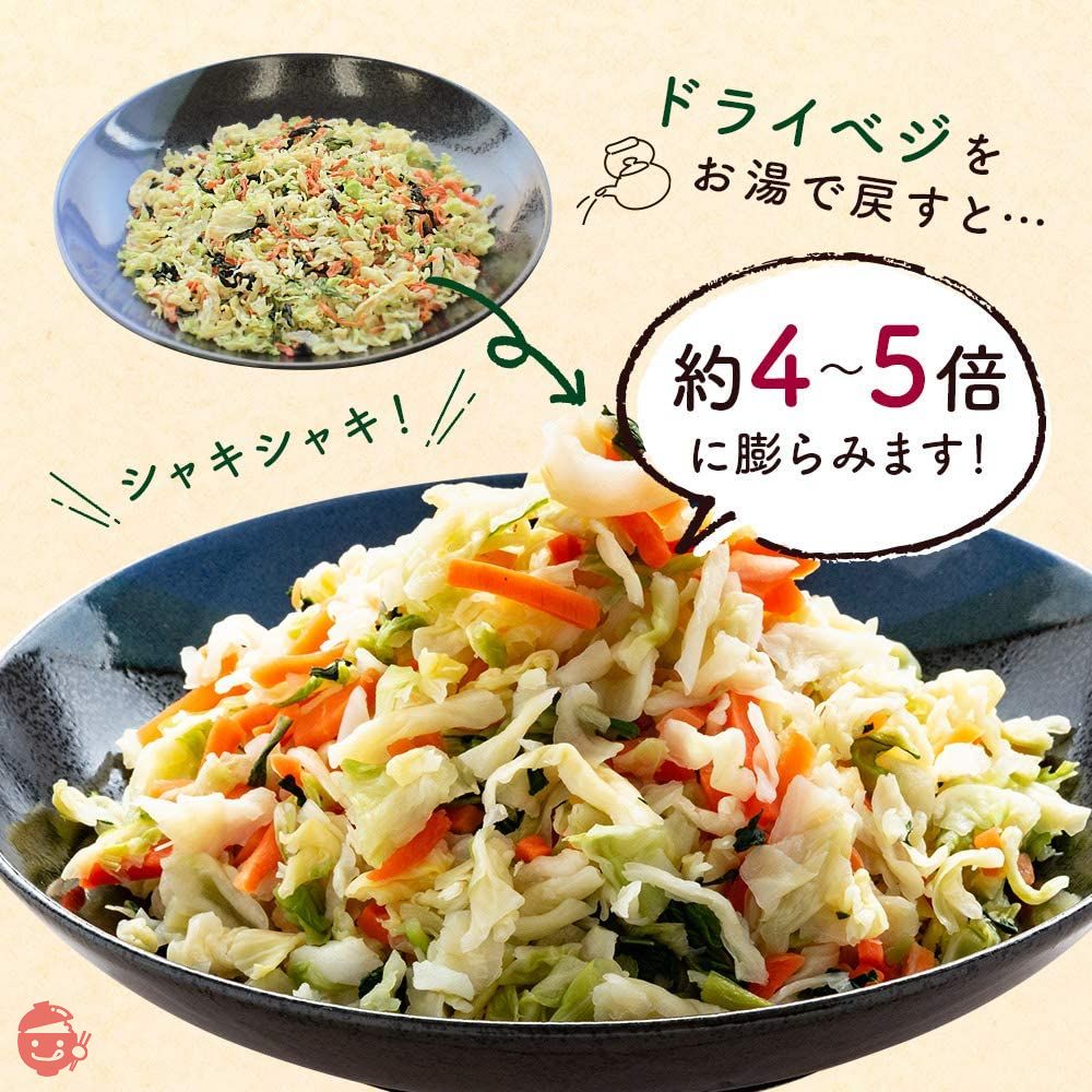 九州ドライベジ 乾燥野菜 九州産 野菜&玉ねぎミックス 100g 1袋 みそ汁の具 ラーメンの具 インスタントラーメン スープ 非常食の画像