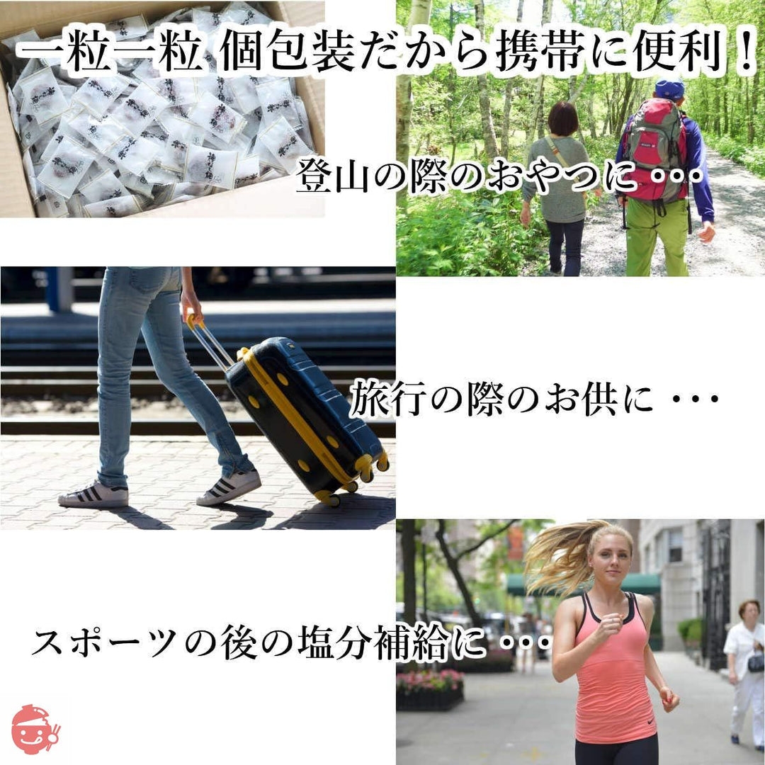 博屋 種なし まろやか干し梅 2kg 企業様 団体様 大容量 業務用 徳用 箱入の画像