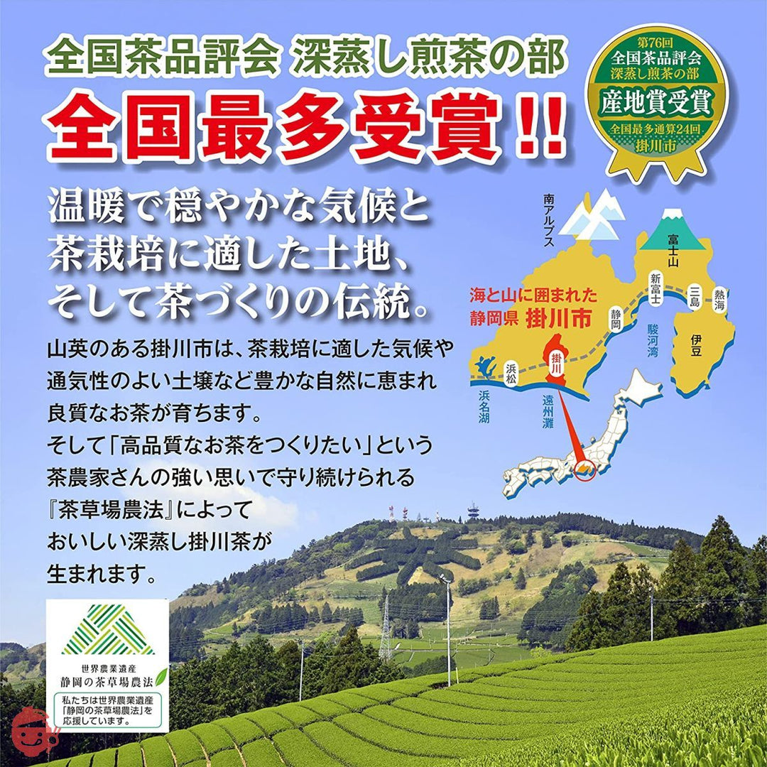 山英 掛川深蒸し茶 マイティーバッグ 2g × 30包 掛川産 1番茶のみ使用の画像