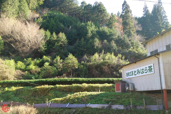 国産農薬不使用粉末よもぎ茶の画像