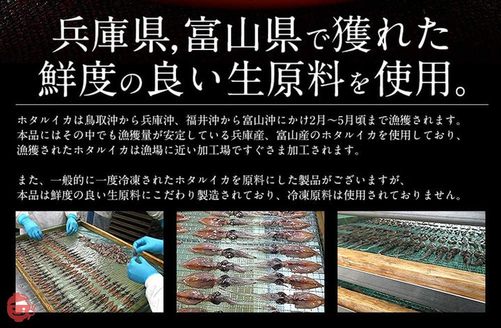 港ダイニングしおそう ホタルイカ 素干し 100g （100g×1袋） 蛍イカ ほたるいか 干物 酒の肴 おつまみ 炙り 国産 いか イカの画像