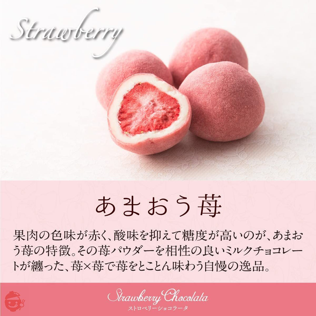 チョコレート ギフト お菓子 ストロベリーショコラータ(3種セット)詰め合わせ 苺チョコ フルーツ ストロベリーチョコレート 苺トリュフ いちご 小分け キャラメル 抹茶 あまおう苺 ミルクチョコ 抹茶チョコ スイーツ 個包装 贈り物の画像