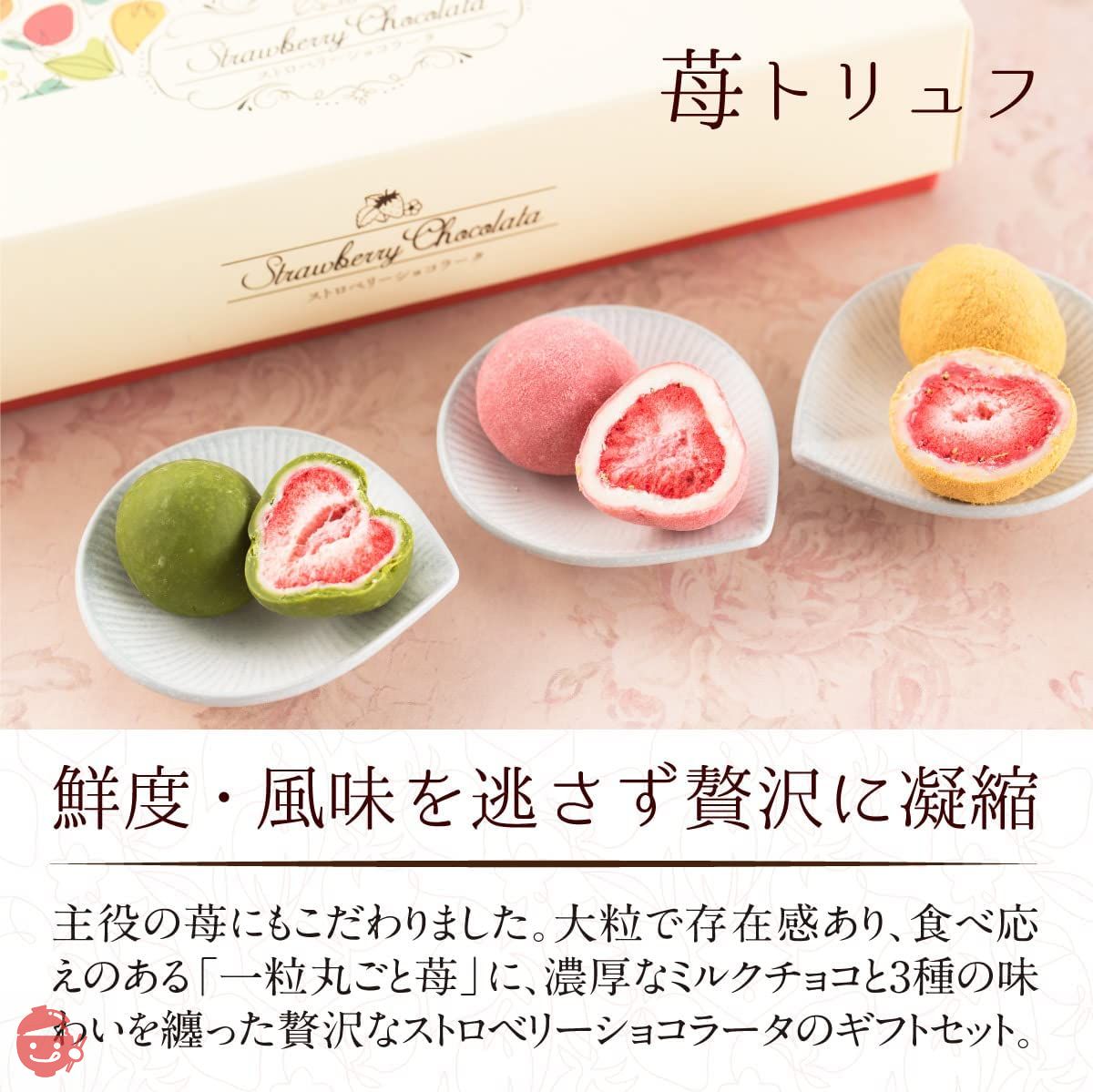 セルディア　チョコレート、ストロベリー チョコレート ギフト お菓子 ストロベリーショコラータ(3種
