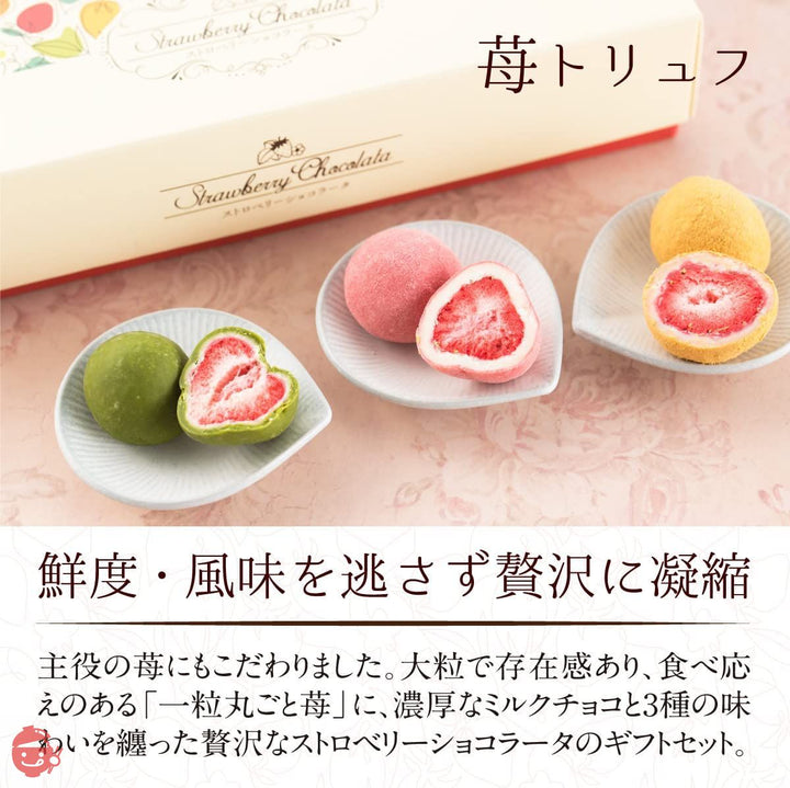 チョコレート ギフト お菓子 ストロベリーショコラータ(3種セット)詰め合わせ 苺チョコ フルーツ ストロベリーチョコレート 苺トリュフ いちご 小分け キャラメル 抹茶 あまおう苺 ミルクチョコ 抹茶チョコ スイーツ 個包装 贈り物の画像