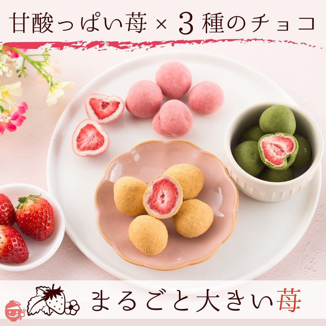 チョコレート ギフト お菓子 ストロベリーショコラータ(3種セット)詰め合わせ 苺チョコ フルーツ ストロベリーチョコレート 苺トリュフ いちご 小分け キャラメル 抹茶 あまおう苺 ミルクチョコ 抹茶チョコ スイーツ 個包装 贈り物の画像