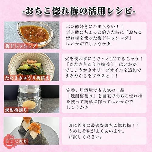 訳あり つぶれ梅 紀州南高梅 1.6kg(800g×2)「おちこ惚れ梅」はちみつ味 うめ ウメ 梅 梅干し 塩分約8％の画像