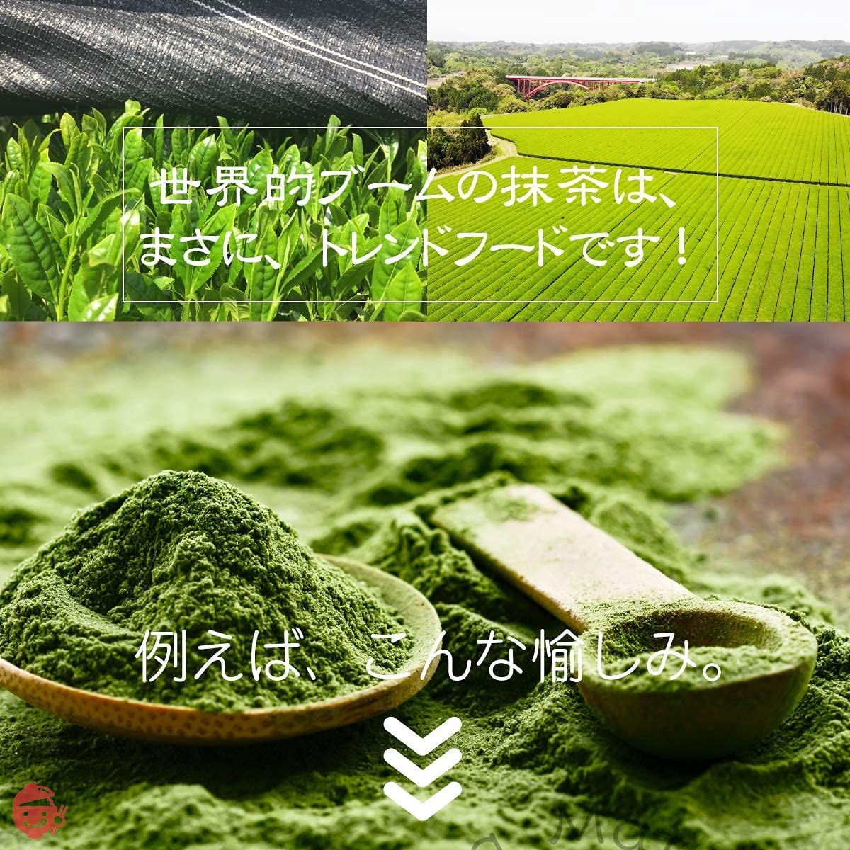 和光园抹茶发酵剂100g | 鹿儿岛茶粉茶粉绿茶粉茶粉简易袋装烹饪