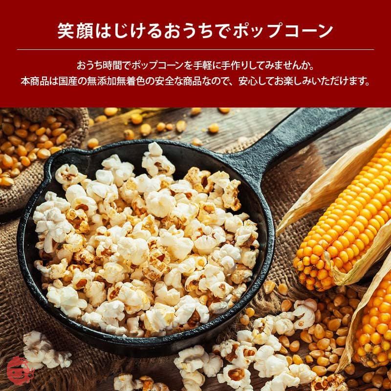 [前田家] 国産 ポップコーン 150g 北海道産 希少とうもろこし コーン 無添加 無着色 無油 【 Rich Life シリーズ 】MAEDAYAマガジンセットの画像